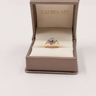 Family Ring Sello - Anillo Familiar de Oro (10k, 14k, 18k) y Piedras de Nacimiento