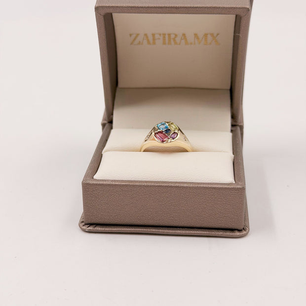 Family Ring Sello - Anillo Familiar de Oro (10k, 14k, 18k) y Piedras de Nacimiento