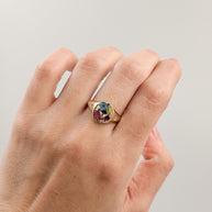 Family Ring Sello - Anillo Familiar de Oro (10k, 14k, 18k) y Piedras de Nacimiento